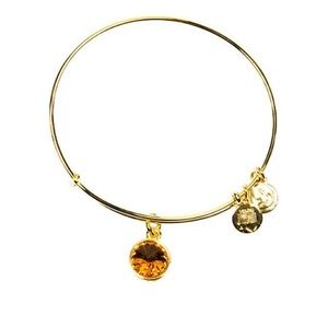 Alex and Ani NWT November birthstone bracelet